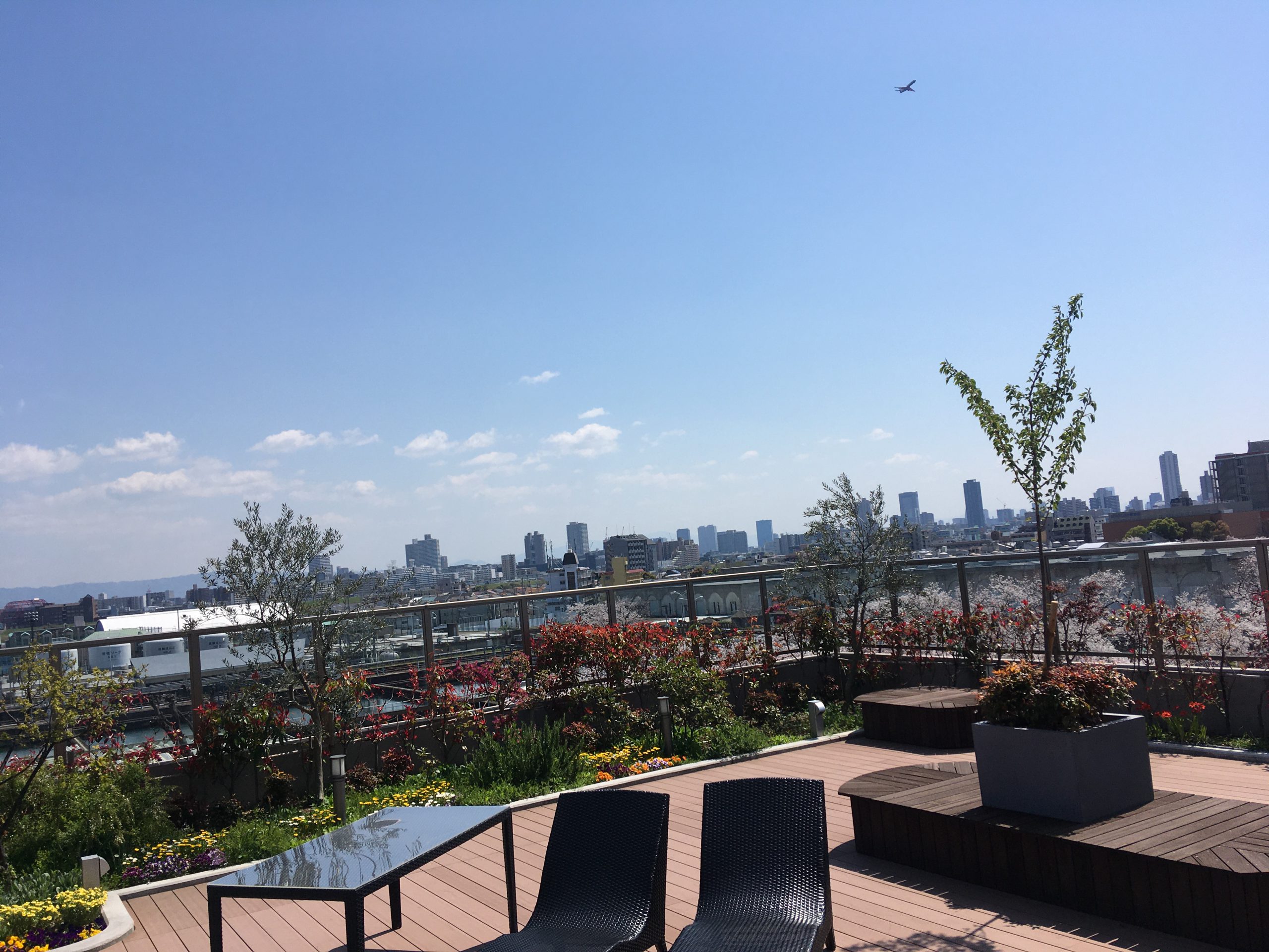 スカイガーデン